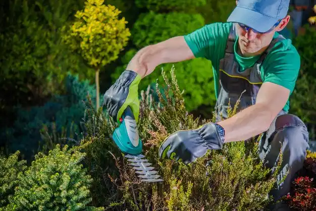 landscaping services Prairieville